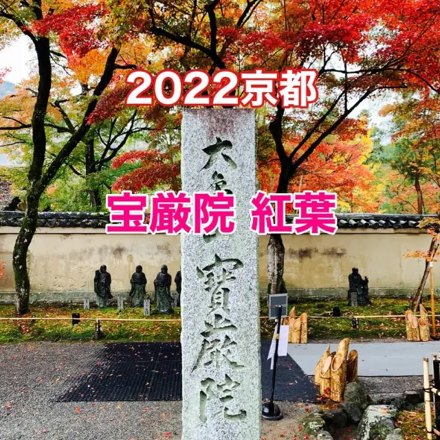 京都紅葉2022  宝厳院の素晴らしい紅葉