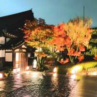 【京都】特別拝観の見応えはさすが