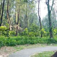 Natural Park in the Northeast of SG 