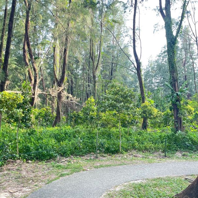 Natural Park in the Northeast of SG 