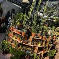 大埔林村隱世打卡植物園Botanic Union