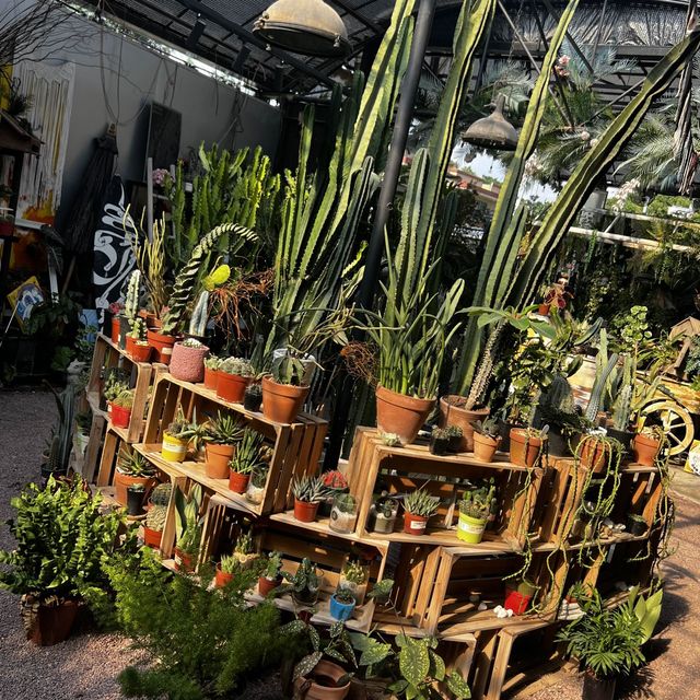 大埔林村隱世打卡植物園Botanic Union