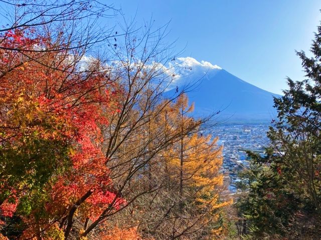 新倉富士浅間神社