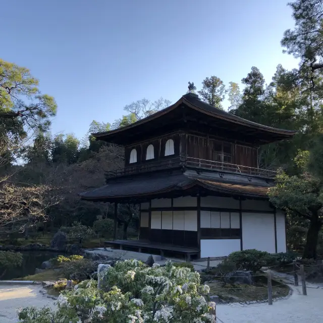 銀閣寺に行ってきました