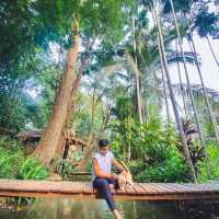หนีความวุ่นวายมาเอนกายที่เฌอโคว