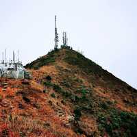 飛鵝山