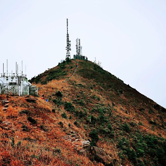 飛鵝山