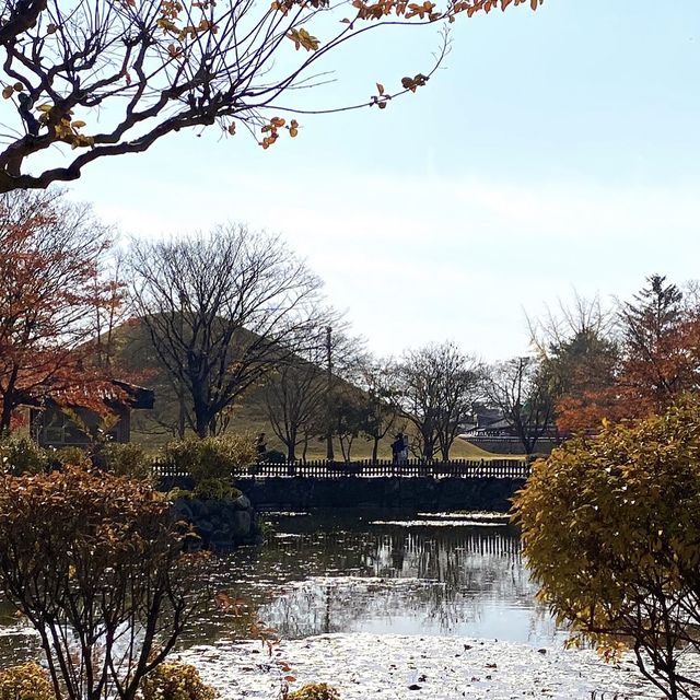 경주에 가면 대릉원을 들리세요 ~ 🎶