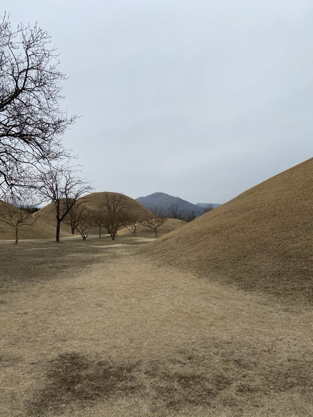 <경주> 황리단길 옆에 위치한 경주 대릉원 <경주> 황리단길 옆에 위치한 경주 대릉원
