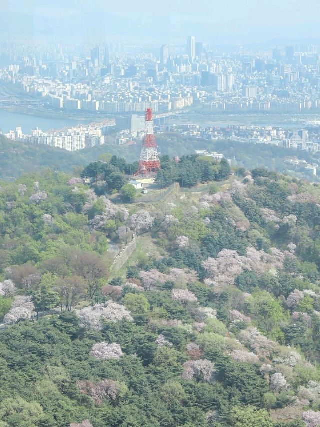 서울 봄여행 가기 좋은 곳, 남산타워
