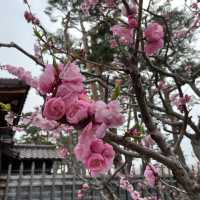 北海道函館　五稜郭公園