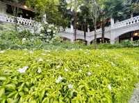 Lush palm trees and manicured gardens