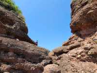 隱世離島遊~鴨洲🦆