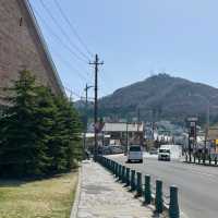 【北海道:函館】活気あふれる函館朝市へ