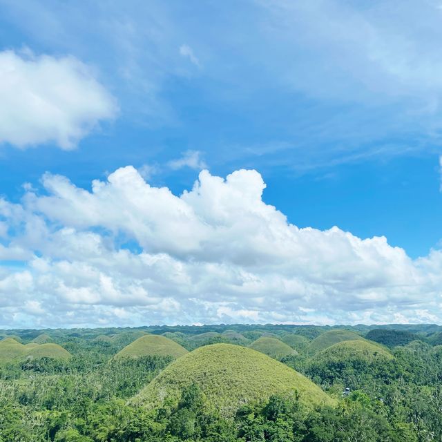 Beautiful Bohol!
