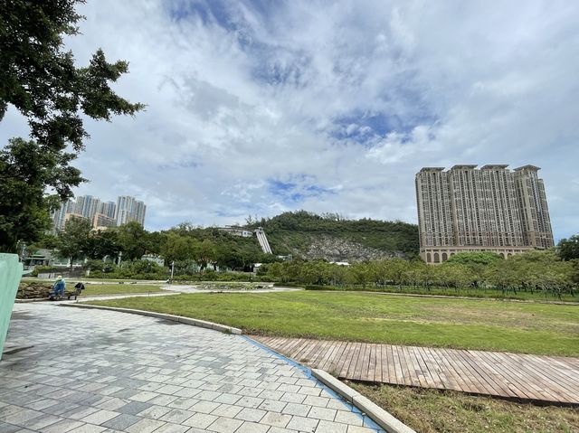 Taipa Houses (龍環葡韻）
