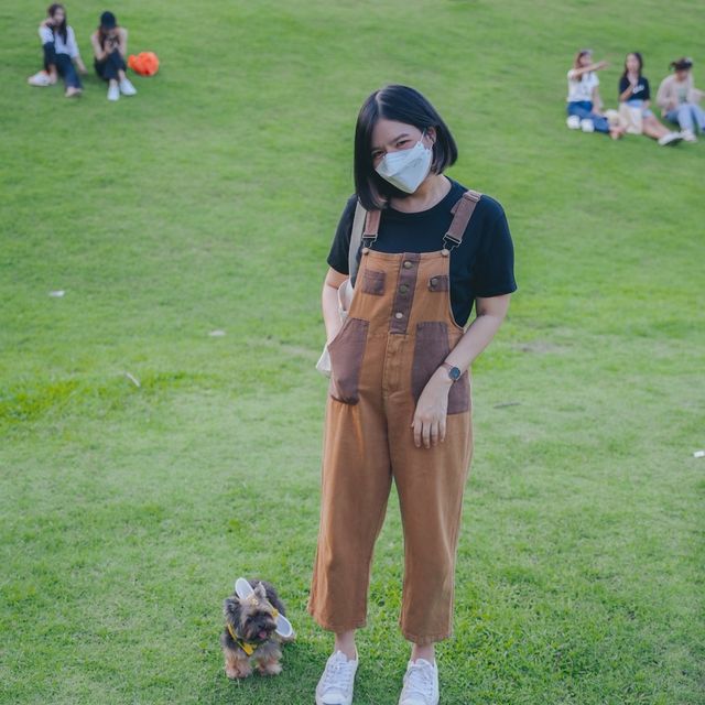 อ่างแก้ว มช. พาน้องหมาเที่ยวได้