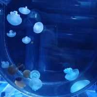 すみだ水族館