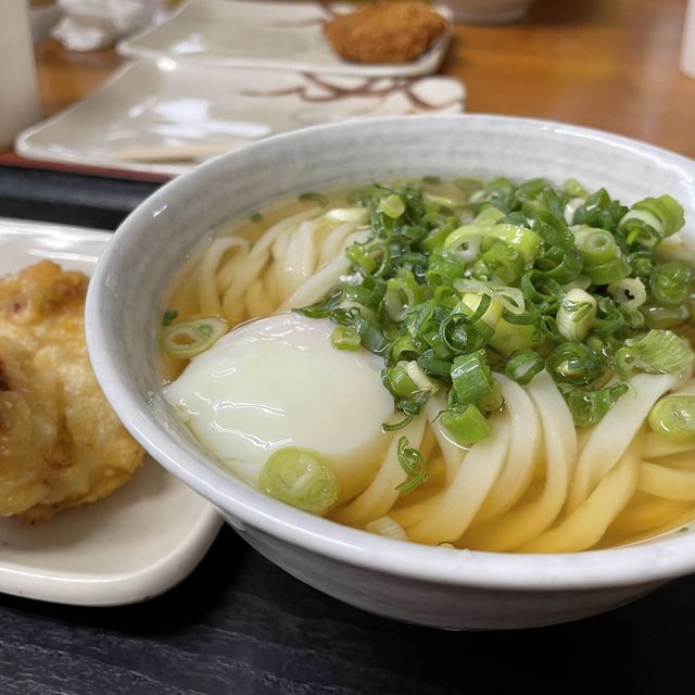 香川県　うどん　よしや