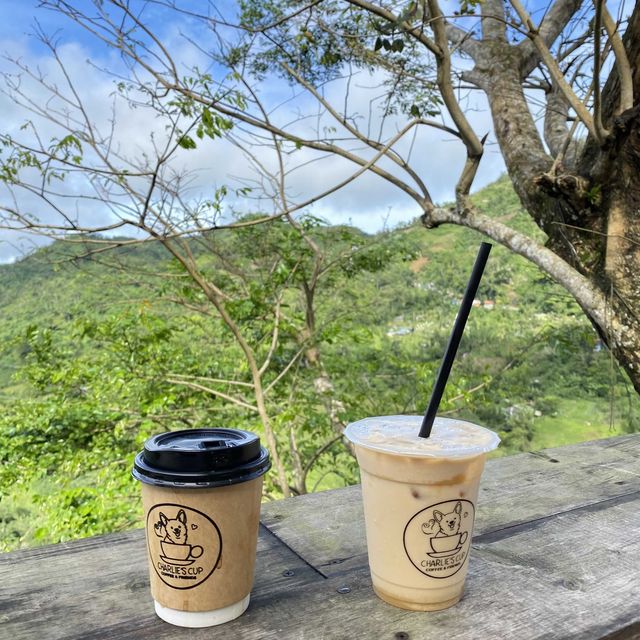 Charlie's Cup