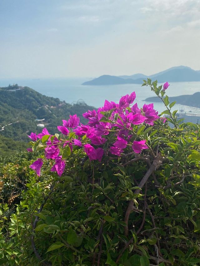 初次登上南朗山🌿🌿❤️