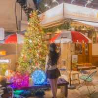 🎄해리단길 핫플 크리스마스로 가득찬 카페 [부산, 듀플릿]