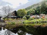 金鱗湖〜大分•湯布院