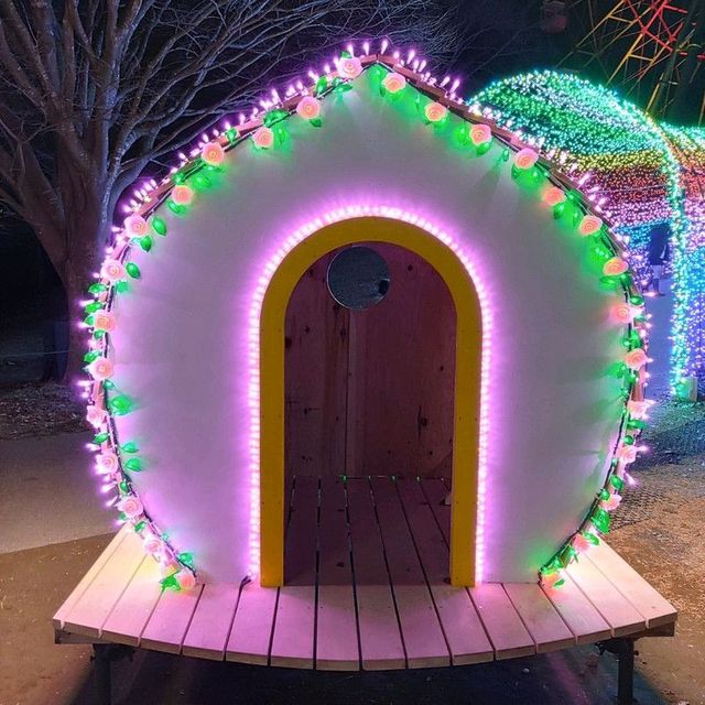 千葉県！ドイツ村のイルミネーションその③