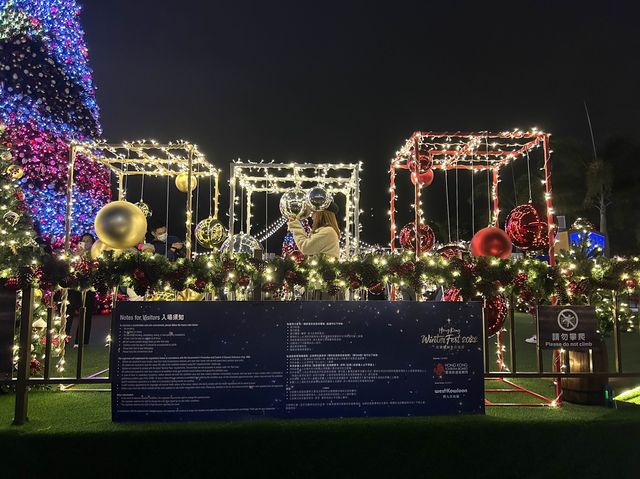 Christmas Attraction #11: The Biggest Outdoor Christmas Tree