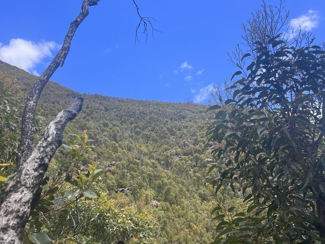 On my way up the Bluff Knoll Trail😎💪