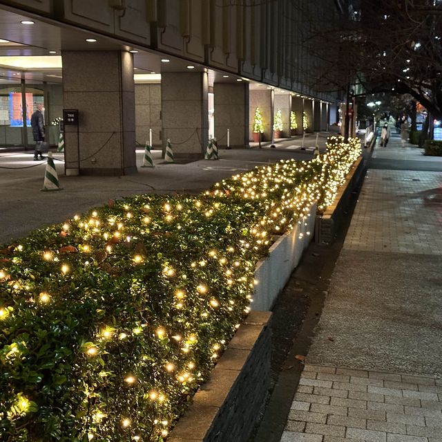 【東京】紀尾井町周辺のイルミネーション