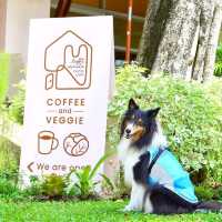 light minute home cafe