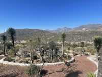 El Olivo🌵 Eco Olivo