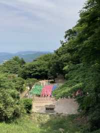 경주 세계유산 여행지