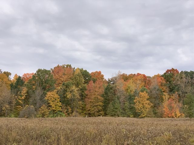 Columbus - Fall Colors 