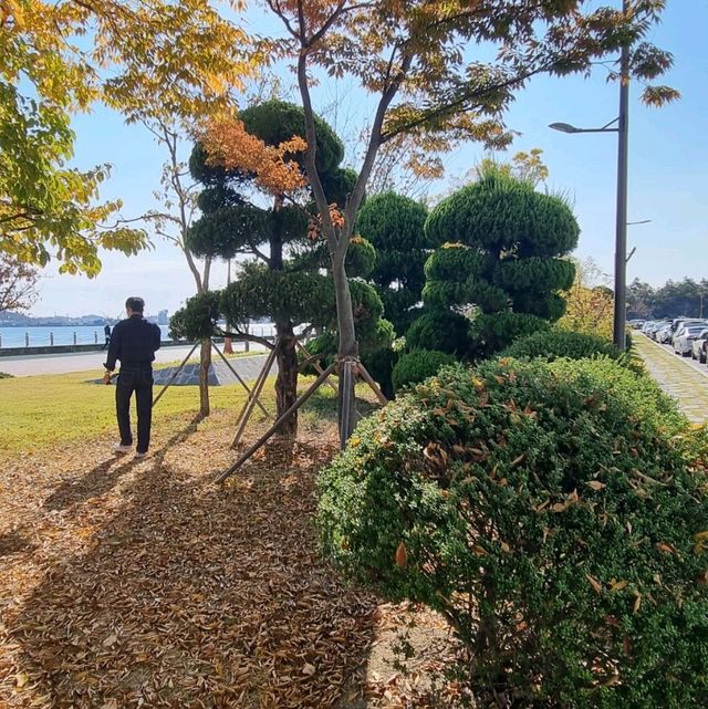 Fall in Pyeongwha Square
