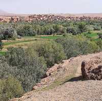 Red Rocky Landscape 