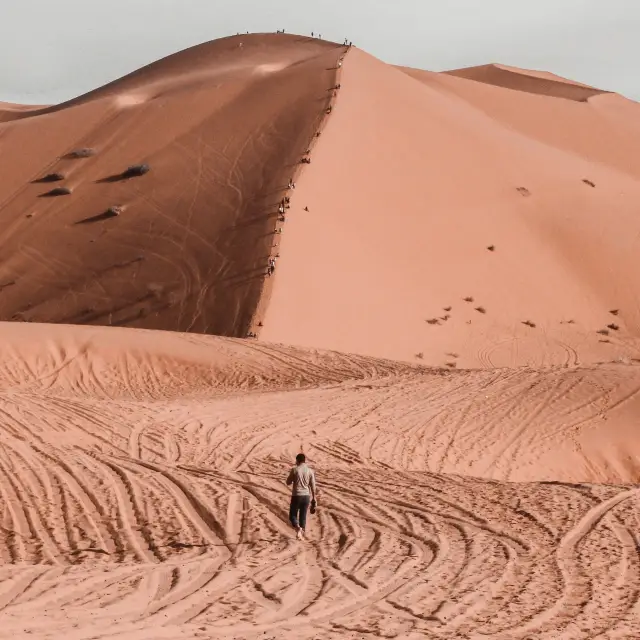 Sahara Golden Sand Merzouga ! 