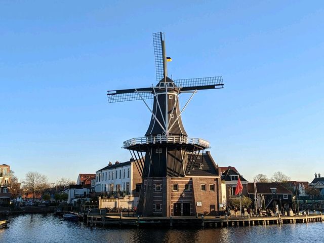 Don't waste sunshine ☀️ Weekend trip to Haarlem!