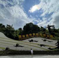 Primeval Forest Park - Xishuangbanna 