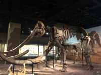 Natural History Museum  