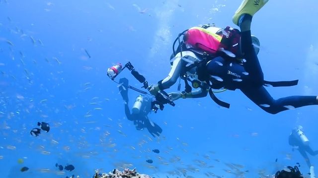 Thailand's coral garden, Koh Similan Island.