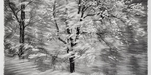 Suspended Landscapes - Artist Talk with Sarah Hood Salomon | Glen Echo Photoworks