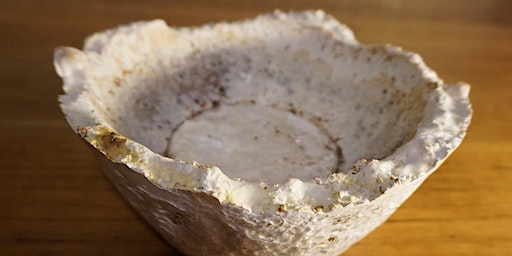 Workshop - Living material: mycelium moulds | Two Queens Leicester