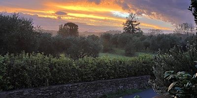 PREREGISTRATION ONLY: San Ginese Artist Residency June 16-22 | Locanda San Ginese - Room, Bed & Breakfast, Via di San Ginese, Capannori, Province of Lucca, Italy