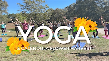 Yoga & Calendula Flower Harvest | Crystal Organic Farm
