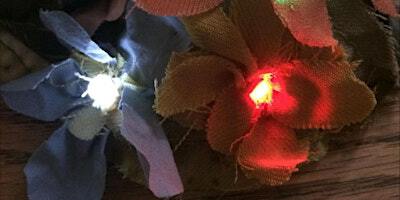 Light up nature | Bagshaw Museum and Wilton Park