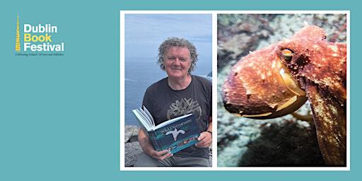 Wild Derrynane’s School of Fish | The Printworks, Dublin Castle