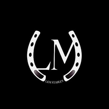 L&M Stables Day Camp | 19435 Juergen Rd