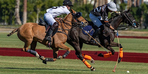 Saturday Polo - TAILGATING - Indio, CA - 2/15 | Eldorado Polo Club